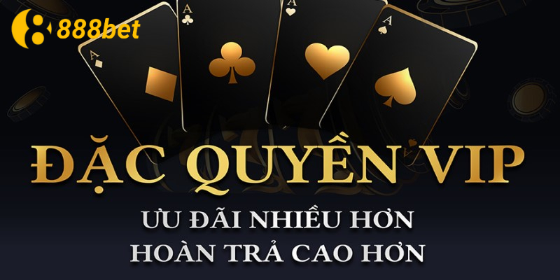 Các chương trình khuyến mãi đặc biệt